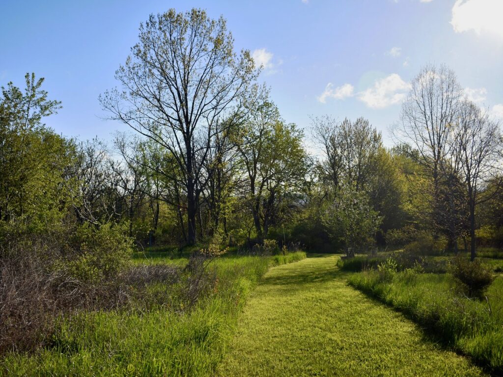 Kashong Conservation Area