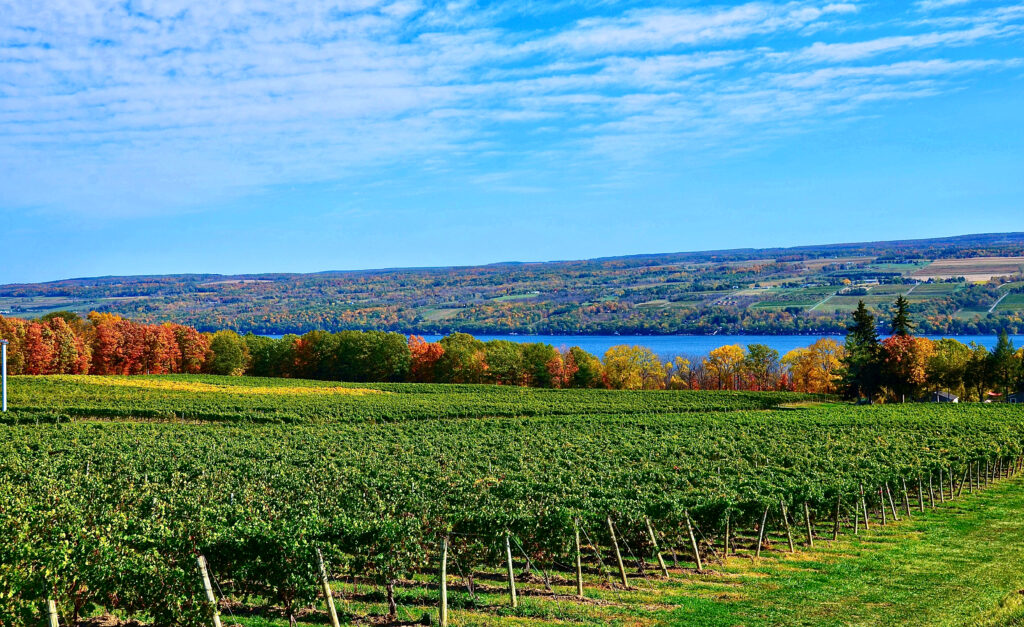 Seneca Lake Wineries A directory of Finger Lakes wineries on Seneca Lake