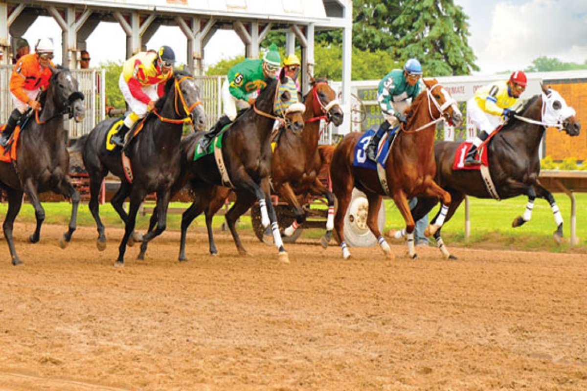 Finger Lakes Horse Racing Find racing and gaming venues in the Finger