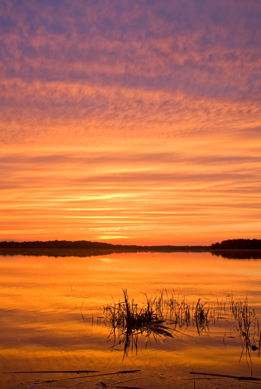 Montezuma Wildlife Refuge